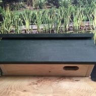 zwaluwkast (gierzwaluw) verkrijgbaar bij DeDuurzameTuin.nl