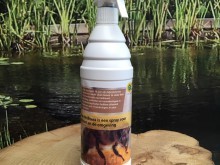 Bee Wellness