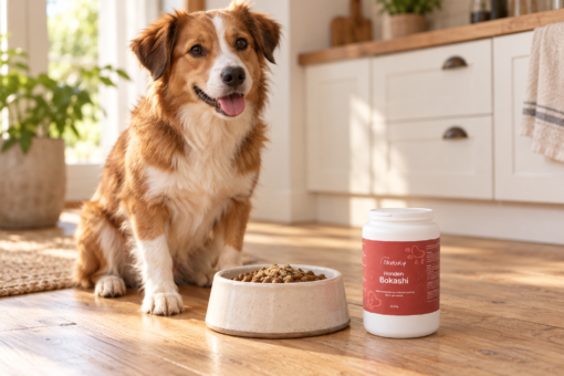 Hond naast een voerbak en een pot Natuly Bio Bokashi voor honden