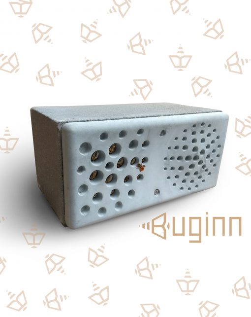 🐝 BugInn – Natuurinclusieve Nestkast - Afbeelding 5