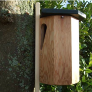 Nestkast Boomklever en boomkruiper