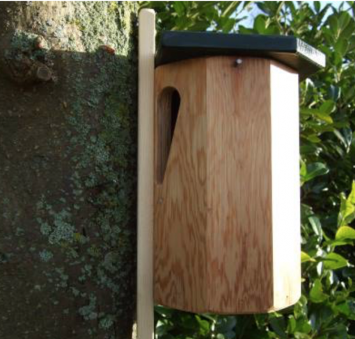 Nestkast Boomklever en boomkruiper