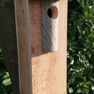 Nestkast voor Spechten