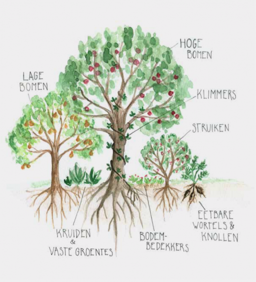 Tuin Smakelijk! - Afbeelding 2