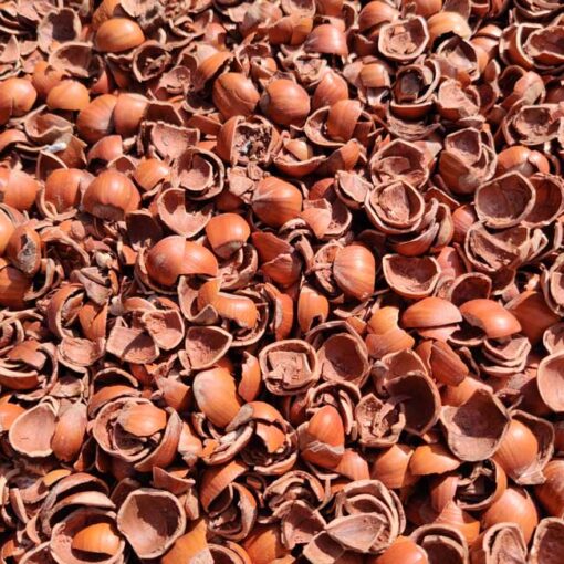 Hazelnootdoppen Nocciolo verkrijgbaar bij DeDuurzameTuin.nl
