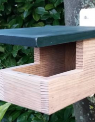 Merel en roodborst nestkast