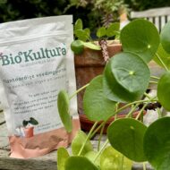 Bio-Kultura Voedingskorrel verkrijgbaar bij DeDuurzameTuin.nl