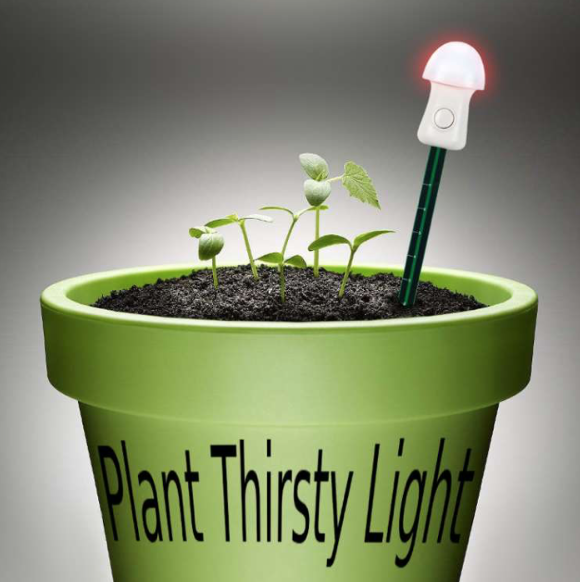 Plant Thirsty Light