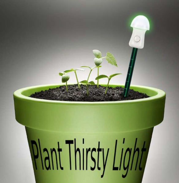 Plant Thirsty Light