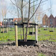 Greenwell gietrand groot 30 liter zwart