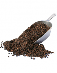 Zwarte Peper