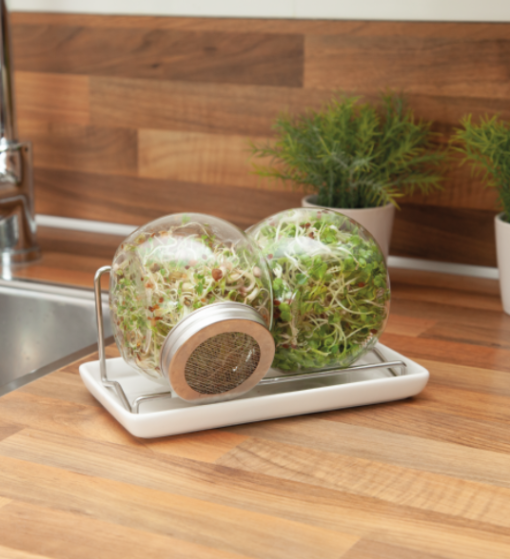 Foto van Buzzy Organic Sprouting Duo pot BIO verkrijgbaar bij DeDuurzameTuin.nl