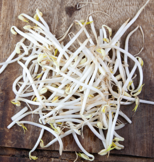 Foto van Buzzy Organic Sprouting pot Taugé BIO verkrijgbaar bij DeDuurzameTuin.nl