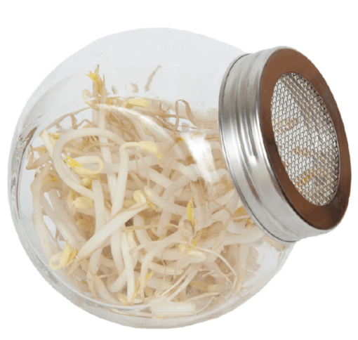 Foto van Buzzy Organic Sprouting pot Taugé BIO verkrijgbaar bij DeDuurzameTuin.nl