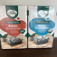 Kweekset Champignon wit of bruin