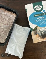 Fot van een Kweekset Champignon wit verkrijgbaar bij DeDuurzameTuin.nl