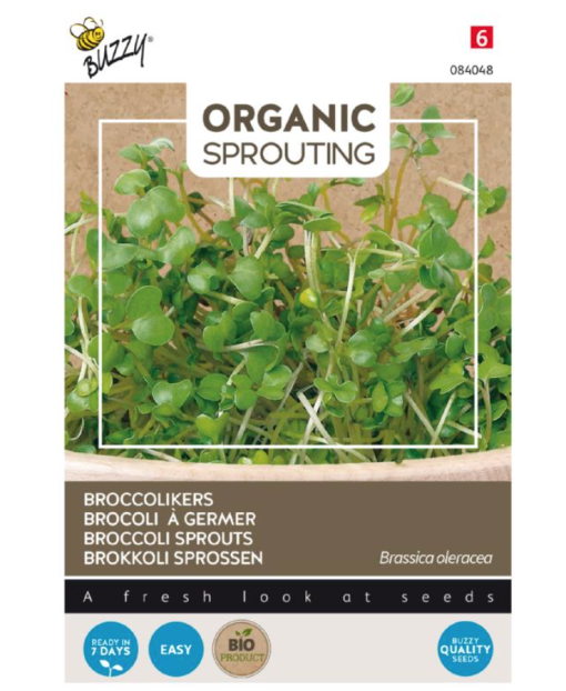 Foto van een zakje Buzzy Organic Sprouting Broccolikers (BIO) verkrijgbaar bij DeDuurzameTuin.nl