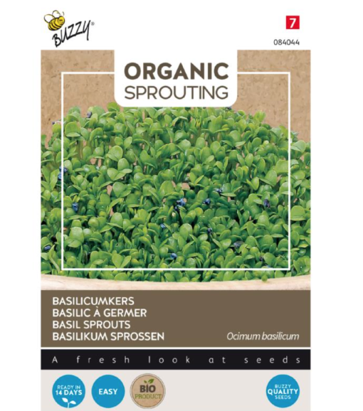 Foto van Buzzy Organic Sprouting Basilicumkers verkrijgbaar bij DeDuurzameTuin.nl