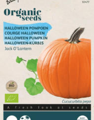 Foto van een zakje Halloween pompoen Bio Jack O’lantern zaden verkrijgbaar bij DeDuurzameTuin.nl