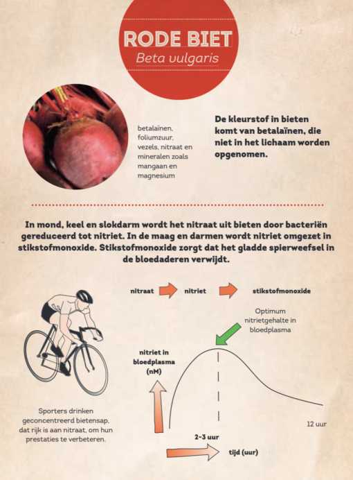Het boek Plant & eter verkrijgbaar bij DeDuurzameTuin.nl