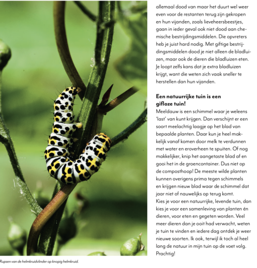 Tuinieren met wilde planten is een boek dat verkrijgbaar is bij DeDuurzameTuin.nl