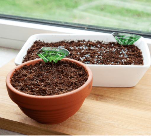 Microgreens Garden Radijs verkrijgbaar bij DeDuurzameTuin.nl