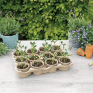 SOGO Eco Kweektray verkrijgbaar bij DeDuurzameTuin.nl