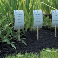 SOGO Bamboe plant label set verkrijgbaar bij DeDuurzameTuin.nl