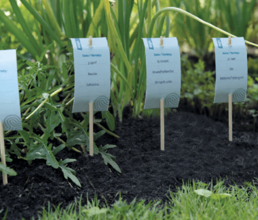 SOGO Bamboe plant label set verkrijgbaar bij DeDuurzameTuin.nl