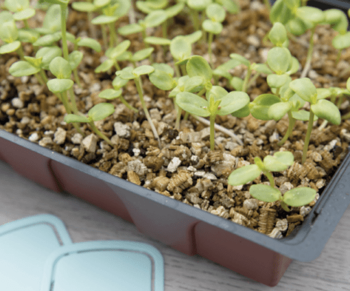 SOGO Vermiculiet verkrijgbaar bij DeDuurzameTuin.nl