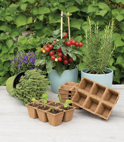 SOGO Biologische Potjes 6x6cm - Afbeelding 5