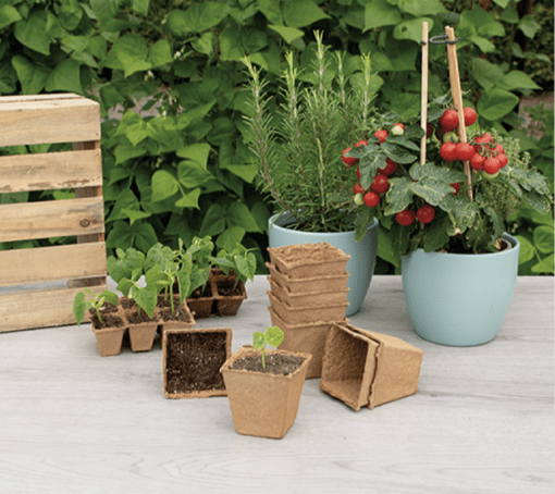 SOGO Biologische Potjes 8cm. verkrijgbaar bij DeDuurzameTuin.nl