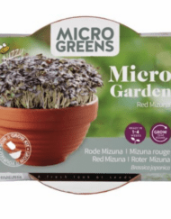 Microgreens schaal Rode Mizuna verkrijgbaar bij DeDuurzameTuin.nl