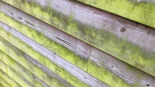 BIOnyx buitenaanslagreiniger verkrijgbaar bij DeDuurzameTuin.nl