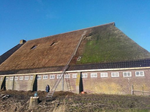 BIOnyx buitenaanslagreiniger verkrijgbaar bij DeDuurzameTuin.nl