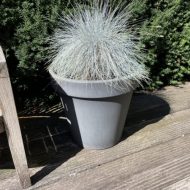 Bloempot voor reiniging met BIOnyx Composietreiniger.