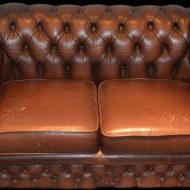 BIOnyx Leerreiniger 4-in-1 chesterfield bank