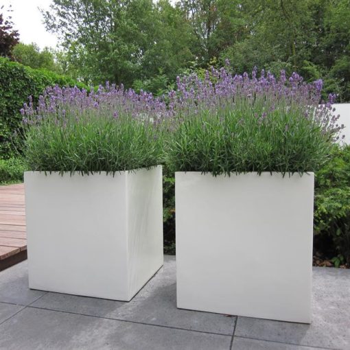 BIOnyx plantenbak reiniger