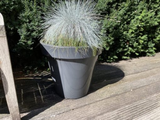 Gereinigd met BIOnyx Composietreiniger en Composietprotector bloempotreinigerposietreiniger en Composietprotector bloempotreiniger