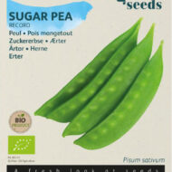 Buzzy Organic Peul Record Bio