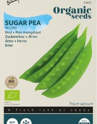 Buzzy Organic Peul Record Bio