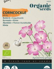 Bolderik zaden (Agrostemma-githago)