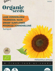 Lage Zonnebloem zaden