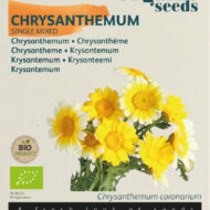 Chrysanthemum zaden
