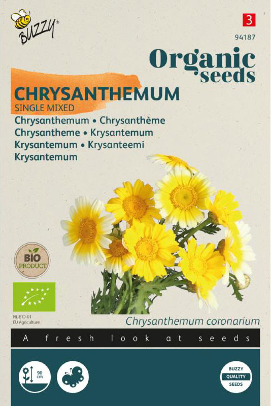 Chrysanthemum zaden