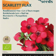 Roodbloeiende Vlas zaden