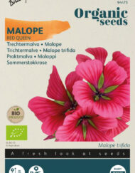 Trechtermalva Malope Red Queen zaden