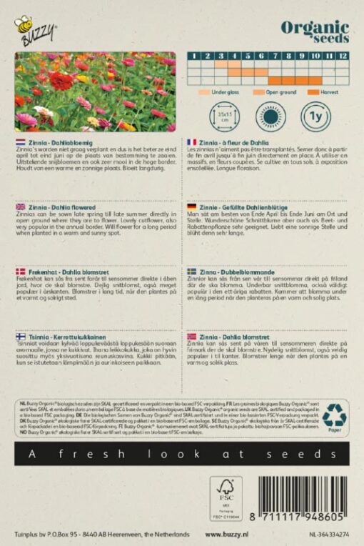 Zinnia dubbele Dahliabloemige mix achterkant