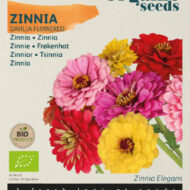 Zinnia dubbele Dahliabloemige mix
