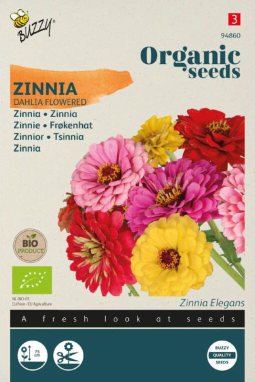 Zinnia dubbele Dahliabloemige mix